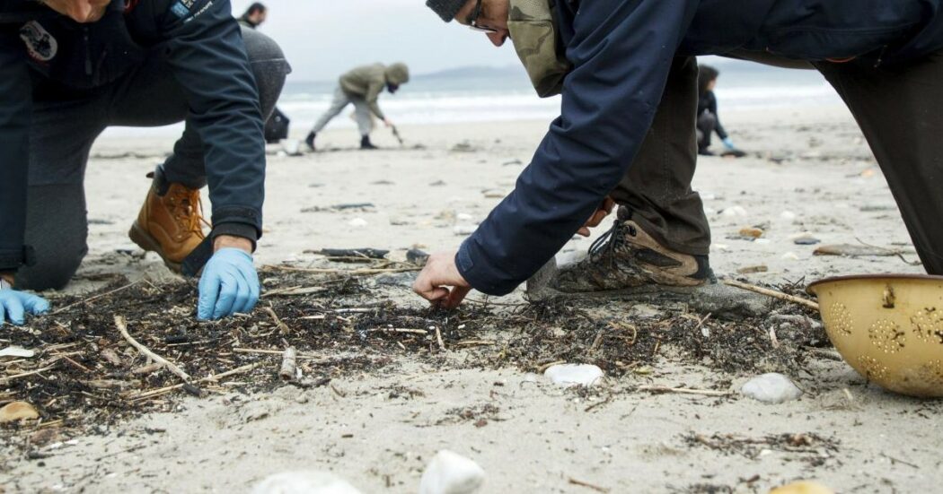 Gli ecoreati reali superano i numeri: i grossi illeciti non si vedono, favoriti pure dalle leggi