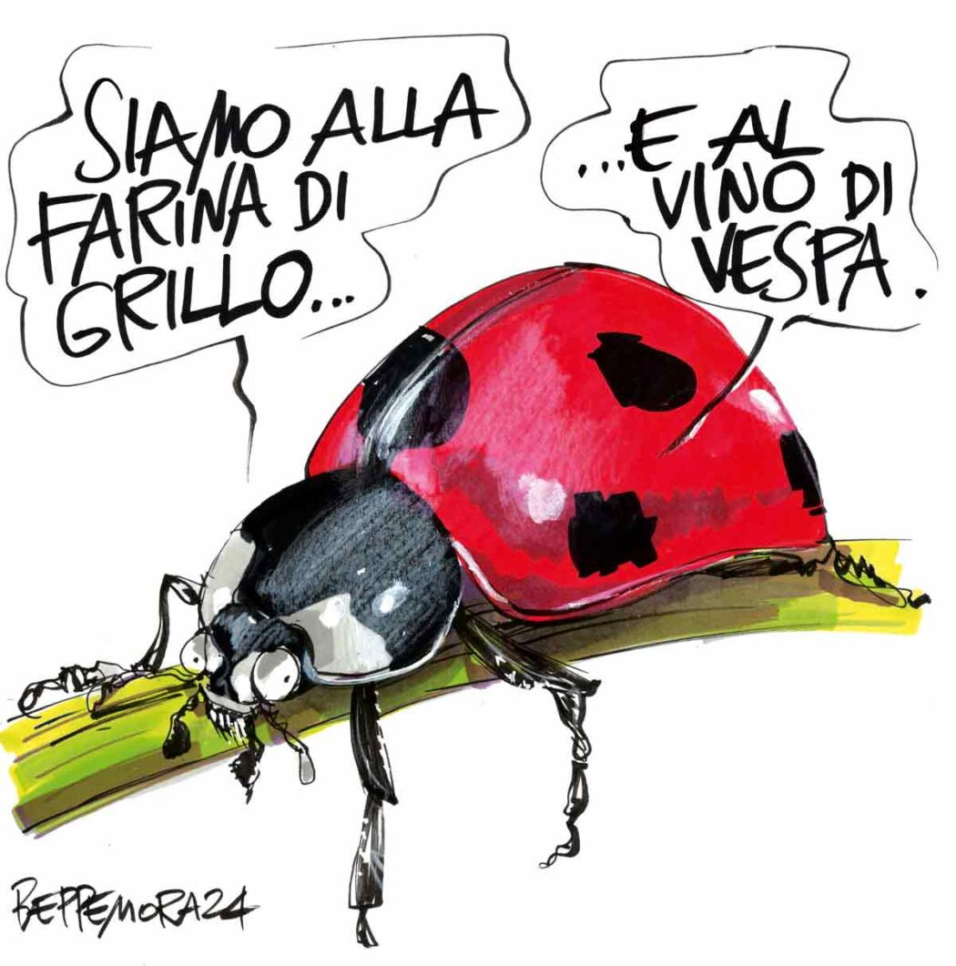 La vignetta di Mora