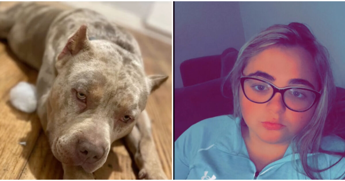 Una ragazza muore sbranata dal suo cane nel giorno del suo 23esimo compleanno. Nei giorni scorsi aveva scritto: “Va fuori di testa”
