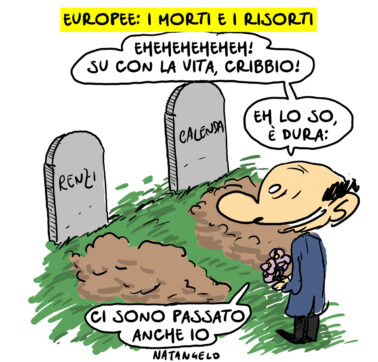 Copertina di La vignetta di Natangelo