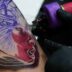 Copertina di “Sostanza tossica pericolosa per la salute”: inchiostro per tatuaggi ritirato dal mercato per contaminazione piombo, l’allarme del Ministero