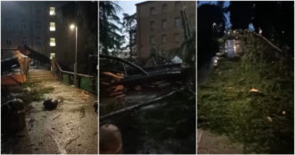 Copertina di Tromba d’aria a Udine, strade allagate e alberi sradicati: nel video i danni nella zona dell’ospedale