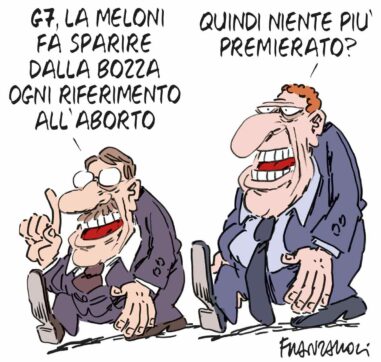 Copertina di La vignetta di Franzaroli