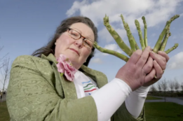 Copertina di “L’Inghilterra vincerà gli Europei 2024”: la previsione di Mystic Veg, l’indovina che prevede il futuro con gli asparagi