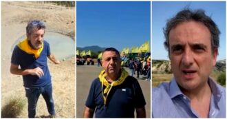 Copertina di Siccità al sud Italia e sulle Isole, il grido di allarme di allevatori e agricoltori: “Non possiamo far morire gli animali di sete, intervenga l’esercito”