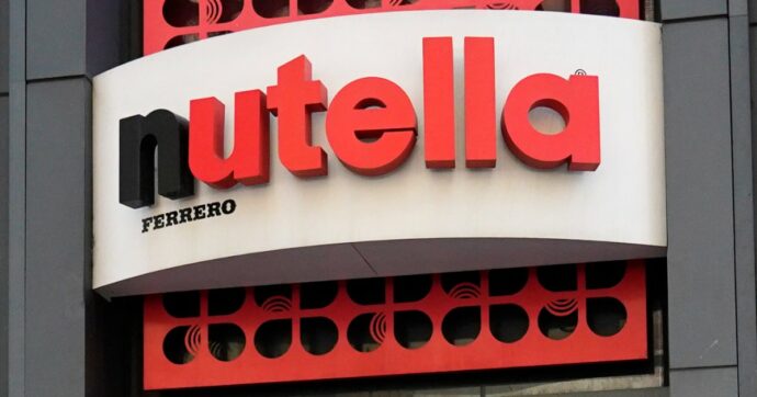 Prezzo delle nocciole raddoppiato e produzione dimezzata: Ferrero sospende gli acquisti per la Nutella in Turchia