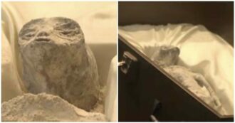 Copertina di “Le mummie extraterrestri vanno esaminate con più attenzione, c’è un 30% di Dna sconosciuto”: gli ufologi chiedono nuovi studi sugli ibridi alieni-umani