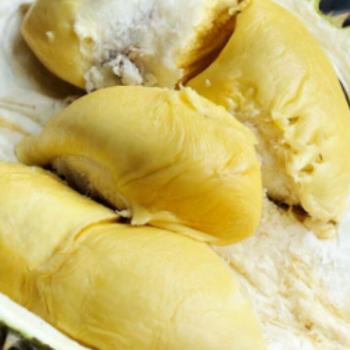 Il frutto “che puzza di cipolle andate a male e piedi” ha conquistato il Sud Est asiatico e sarà il “nuovo boom economico della Malaysia”. Cos’è il durian