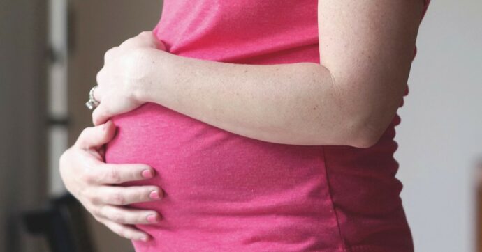 Copertina di Multinazionale Vibac, la lavoratrice interinale è incinta? “La sostituiamo come un’auto aziendale”