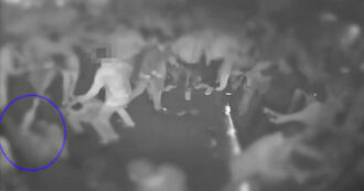 Copertina di Catania, pestavano coetanei in discoteca senza ragioni: arrestati sei giovani. I video delle violente aggressioni