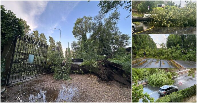 Maltempo, temporale con forti raffiche di vento nella città di Milano: diversi alberi caduti