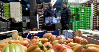 Copertina di Morti sul lavoro, Fabio Ciconte (Terra): “Il cibo a basso costo ha  un prezzo, lo paga chi è sfruttato nei campi”
