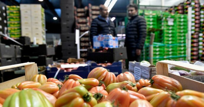 Morti sul lavoro, Fabio Ciconte (Terra): “Il cibo a basso costo ha  un prezzo, lo paga chi è sfruttato nei campi”