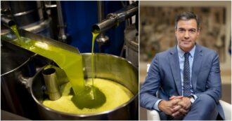 Copertina di In Spagna il governo azzera l’Iva sull’olio di oliva: misura a tempo, poi sarà fissata al 4 per cento. “Bene di prima necessità come il pane”