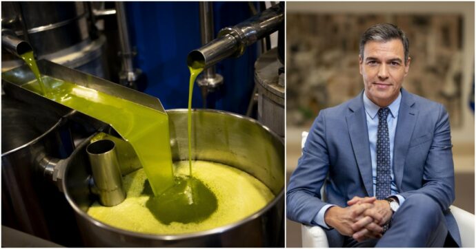 In Spagna il governo azzera l’Iva sull’olio di oliva: misura a tempo, poi sarà fissata al 4 per cento. “Bene di prima necessità come il pane”