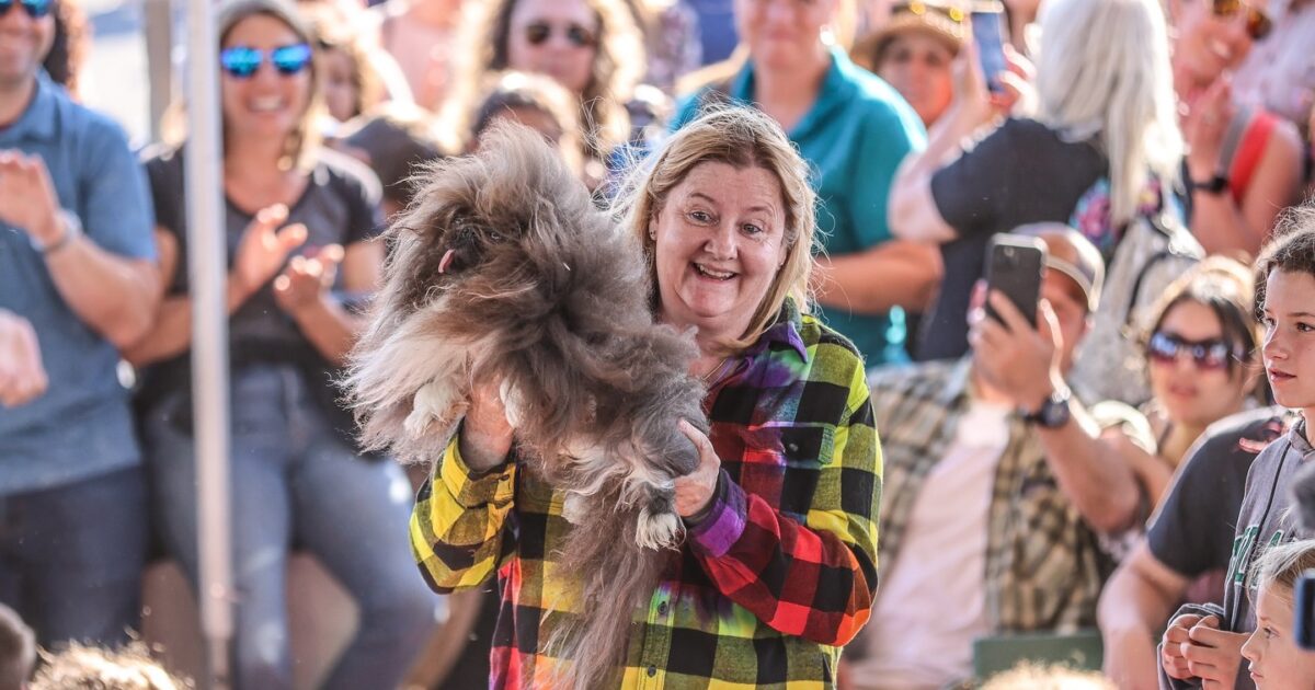 Un pechinese di otto anni è stato incoronato “il cane più brutto del mondo”