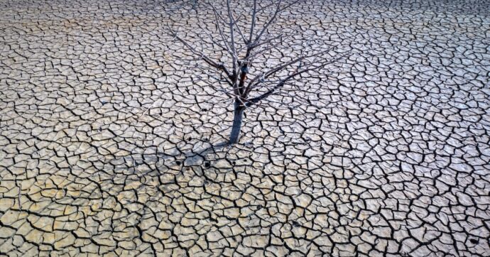 È stato il gennaio più caldo di sempre: temperatura superiore di oltre 1,5 gradi rispetto alla media
