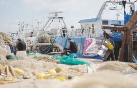 Copertina di La legge siciliana sulla pesca marittima è inattuata da anni: è ora di uscire dall’ambiguità