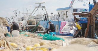 La legge siciliana sulla pesca marittima è inattuata da anni: è ora di uscire dall’ambiguità