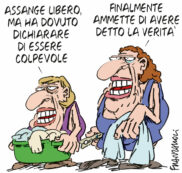 Copertina di La vignetta di Franzaroli