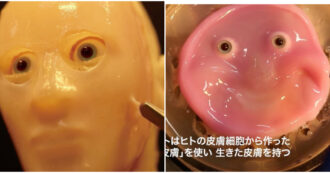 Copertina di Nasce il volto del robot con la pelle umana riprodotta in laboratorio per renderlo più simile agli uomini