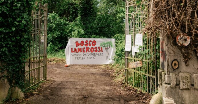 Copertina di No alle ruspe sul Bosco Lanerossi! L’Alta velocità (che si poteva fermare) ora minaccia 25mila mq di verde