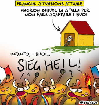 Copertina di La vignetta di Natangelo