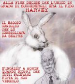Copertina di La vignetta di Mannelli