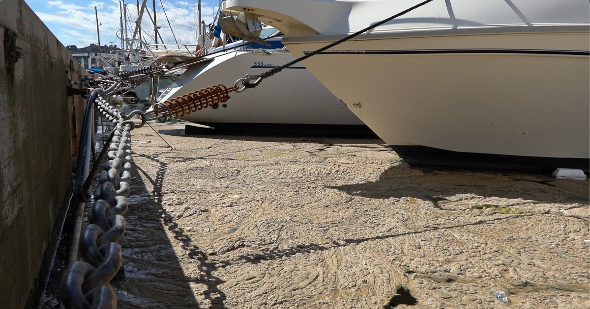 Mucillagine nell’Adriatico per il caldo e l’assenza di correnti: “Tornata dopo molti anni. Innocua per l’uomo, porta problemi ai pescatori”