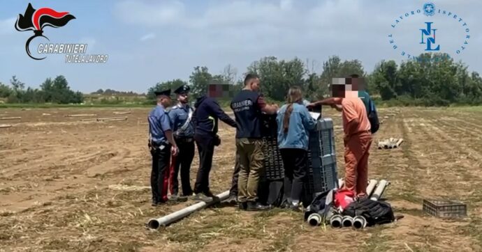 Copertina di Controlli straordinari nel settore agricolo: irregolare oltre il 66% delle aziende ispezionate. Più di un lavoratore su 10 completamente in nero