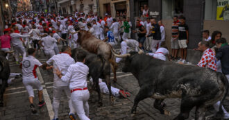 Copertina di Spagna, al via ‘el encierro’ di San Firmino: una festa taurina di cui Pamplona va fiera