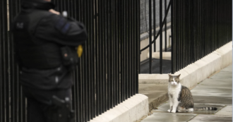Copertina di Il gatto Larry aspetta alla porta di Downing Street l’arrivo del suo sesto primo ministro: Keir Starmer