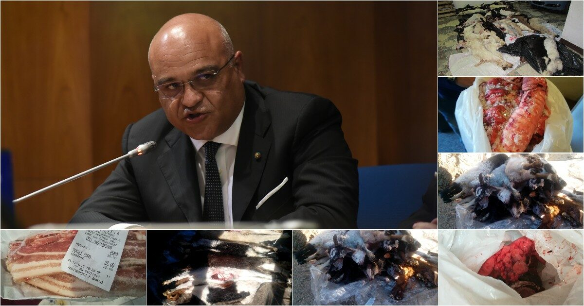 I focolai di tubercolosi e la carne degli animali infetti finita nei piatti: le mani dei clan sulla macellazione clandestina in Sicilia. Antoci (M5s): “Intervenga l’Ue”