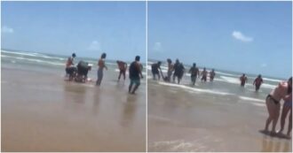 Copertina di Branco di squali raggiunge la riva e attacca i bagnanti in spiaggia: “Erano a caccia di cibo”