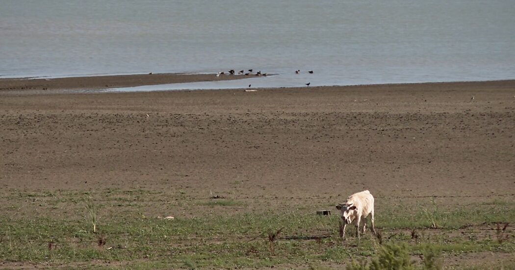 Allarme siccità in Sicilia, il lago Rubino è dimezzato rispetto al 2023: le immagini del drone