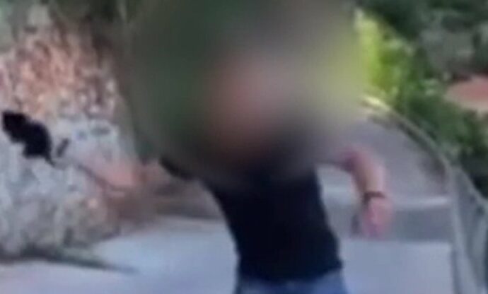 Adolescente lancia un gattino giù da un ponte tra le risate degli amici: polemiche e indignazione per il video choc