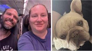 Copertina di Cane muore di caldo durante un viaggio in aereo, la rabbia dei proprietari: “Obbligati a tenerlo nel trasportino, lo hanno ucciso”