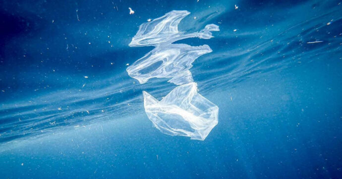 Report Wwf: “Nel Mediterraneo la più alta concentrazione di microplastiche mai registrata. L’87% del mare è inquinato”