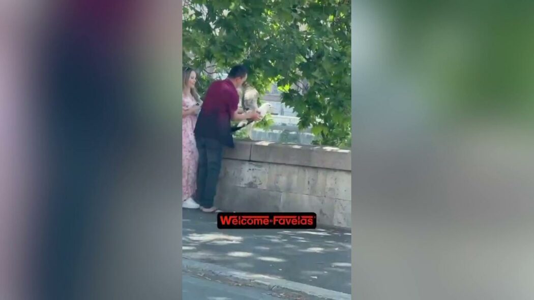 Turisti catturano un gabbiano per scattarsi un selfie a Trastevere: il video di denuncia di Salvo Sottile