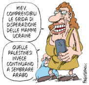 Copertina di La vignetta di Franzaroli