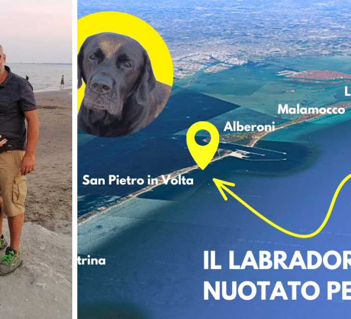 “Il nostro cane Ziggy si è tuffato dalla barca e la corrente lo ha portato via”: la disperazione dei proprietari del labrador di 8 anni e il finale inaspettato