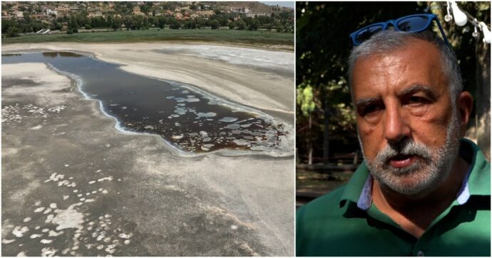 Copertina di Il lago di Pergusa non c’è più, così la siccità in Sicilia fa scomparire la riserva naturale: “Vittima più grande è la biodiversità”. Le immagini