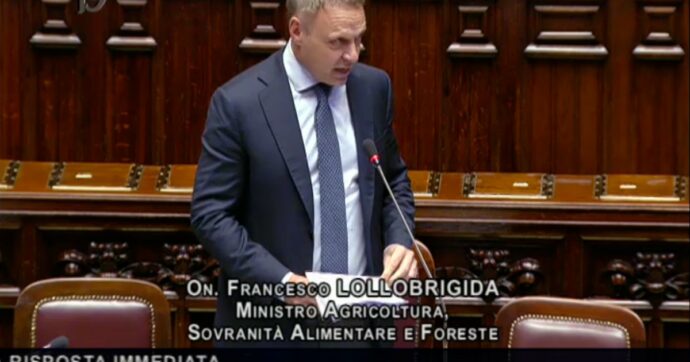 Copertina di Caporalato, Lollobrigida: “Normativa Bossi-Fini è datata e va modificata”. Poi attacca i precedenti governi: “Non si è fatto niente in cinque anni”