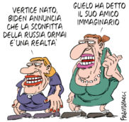 Copertina di La vignetta di Franzaroli