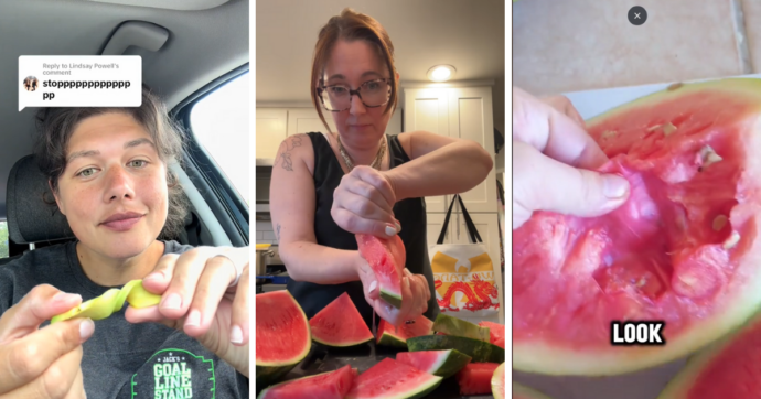 Copertina di “Angurie di plastica, avocado immutabili e mirtilli di silicone: vogliono avvelenarci alterando il cibo”: la nuova teoria complottista di TikTok