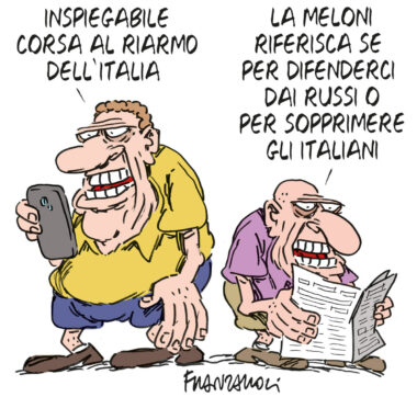 Copertina di La vignetta di Franzaroli