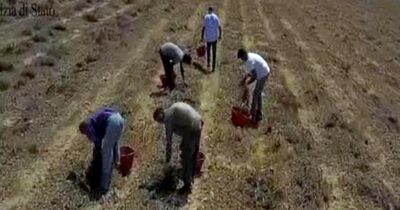 Copertina di Contro il caporalato dobbiamo rinunciare allo sfruttamento come premessa | La trave nel piatto, la rubrica di Slowfood