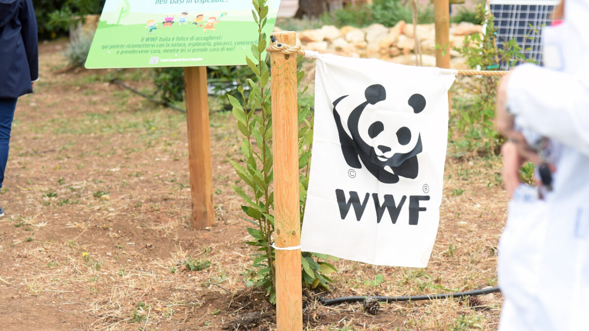 il wwf eredita la villa e il patrimonio dei due coniugi trovati mummificati nella loro casa in valpolicella da Ilfattoquotidiano.it il wwf eredita la villa e il patrimonio dei due coniugi trovati mummificati nella loro casa in valpolicella