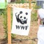 Copertina di Il Wwf eredita la villa e il patrimonio dei due coniugi trovati mummificati nella loro casa in Valpolicella