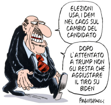 Copertina di La vignetta di Franzaroli